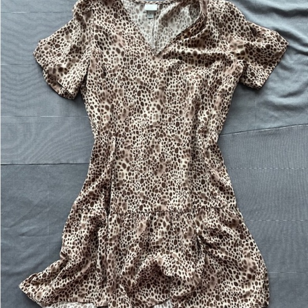 Leopard Print Dress